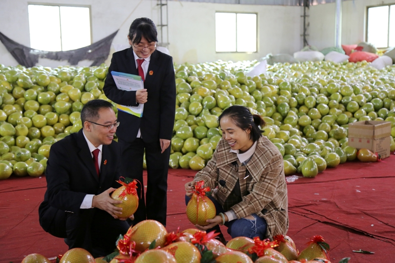 金柚产业园普法 (2).JPG