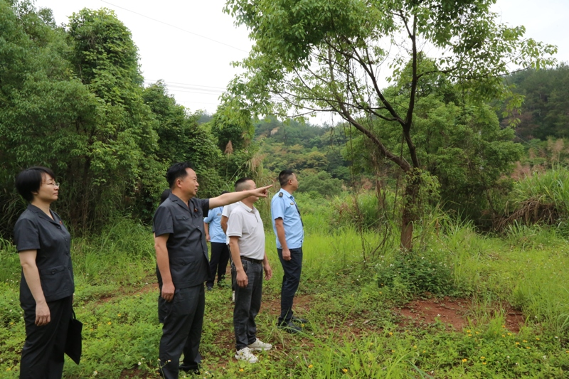 5月28日，梅县法院刑庭干警与城东镇镇政府工作人员就司法建议落实情况现场回访6-宋宇婷摄.JPG